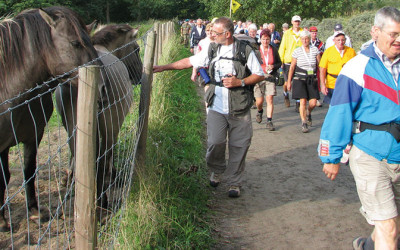 Hoe sportief is Delfshaven?